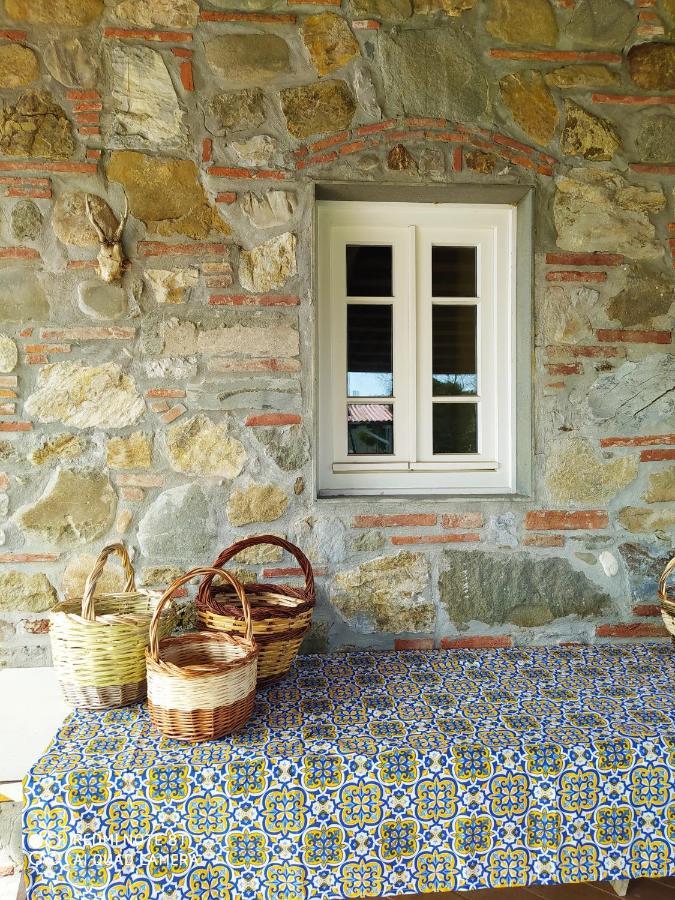 Ringo, The True Tuscany Country House Capannori Exterior photo